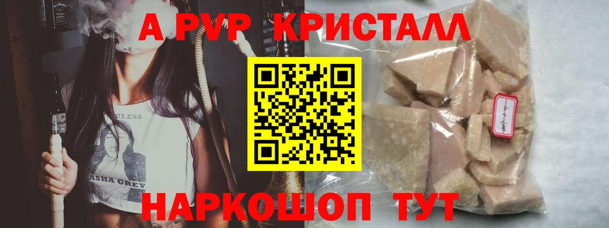 Новозыбков  Альфа ПВП СК  Alfa_PVP СК КРИС  Вход с VPN 