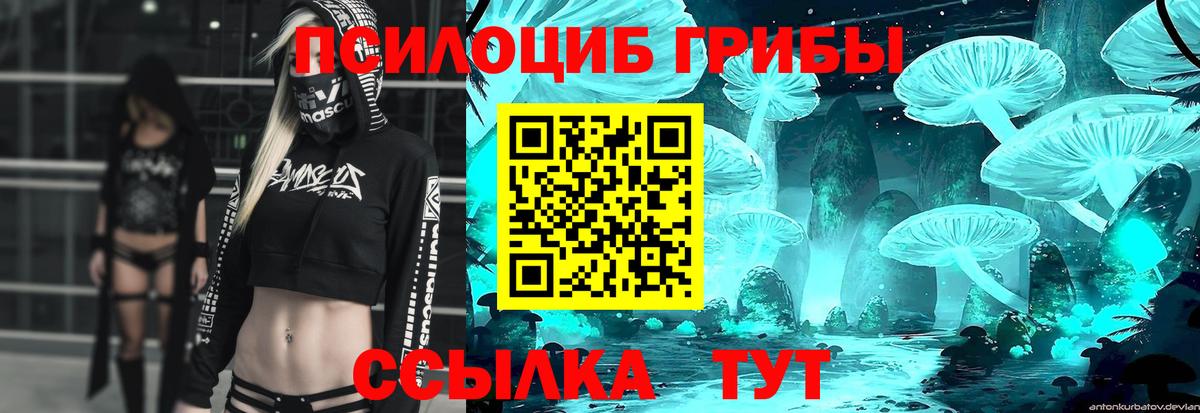 Псилоцибиновые грибы прущие грибы Новозыбков
